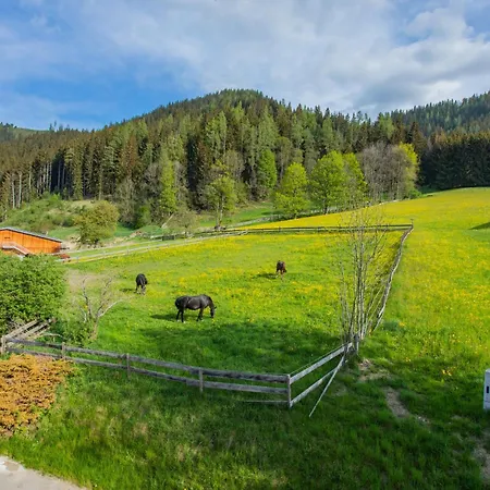 Huberhof 8 By Alpenidyll Appartamento